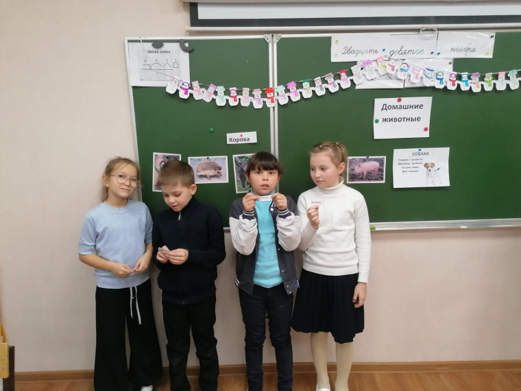 Всемирный день домашних животных.